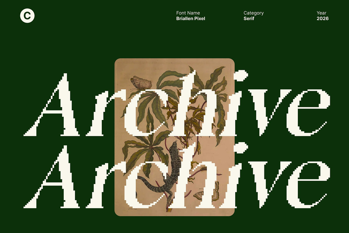 Briallen Pixel, a Serif Font by Craft Supply Co. (Photo 6 of 8)
