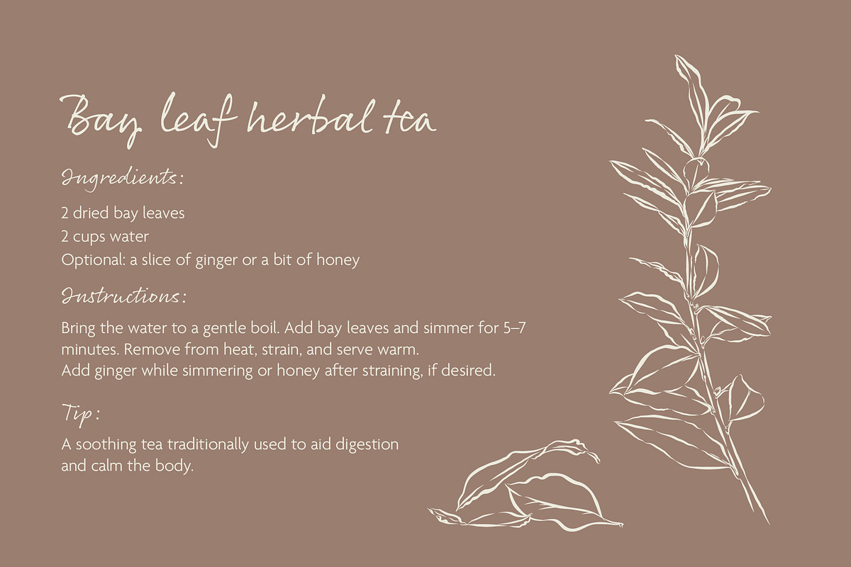 Herbs & Spices Vector Bundle, a Food Illustration by Little Gremlin (Photo 10 of 10)