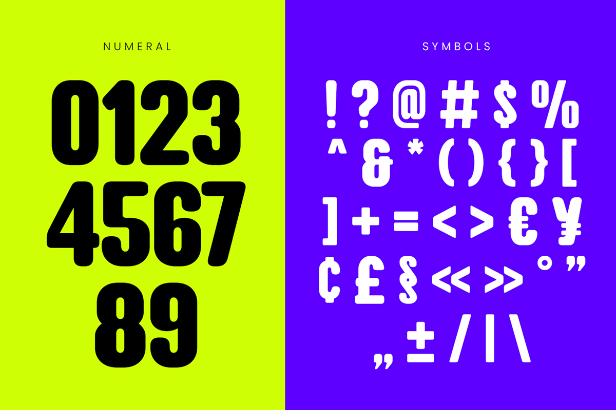 Baune - Condensed Rounded Sans, a Sans Serif Font by Pekotype (Photo 4 of 15)