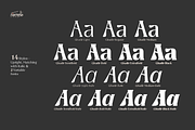 Ghadir, Botanical Display Font, a Sans Serif Font by Namela Studio (Thumbnail 3 of 10)