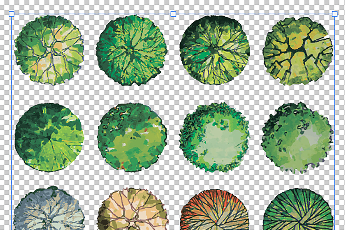 Set of isolated top view trees, an Object Graphic by ThreeDiCube