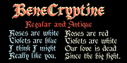 BeneCryptine, a Blackletter Font by Ingrimayne Type (Thumbnail 3 of 6)