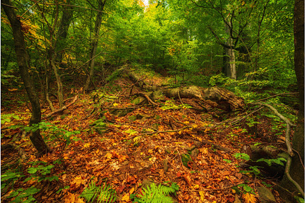 Beautiful autumn landscape, a Nature Photo by Nature and travel