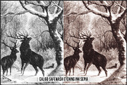 Authentic Sepia LUTs - Version 2, a Plug-in Add-On by Raztrend (Thumbnail 29 of 30)