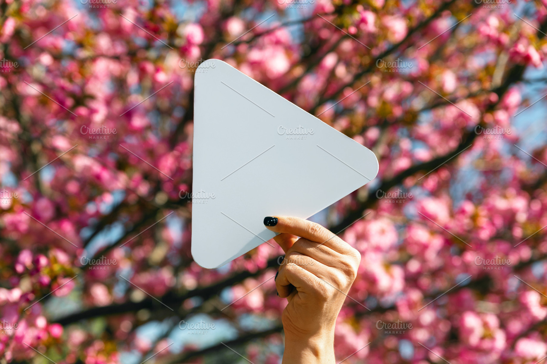 Hand holding a white play button icon in front of blooming cherr, a Nature Photo by Ales Munt