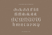 Unclare Modern Ligature Font, a Serif Font by Heinzel Std (Thumbnail 12 of 14)