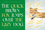 Moves Cabse Modern Display Serif, a Serif Font by timelesstype.co (Thumbnail 7 of 20)