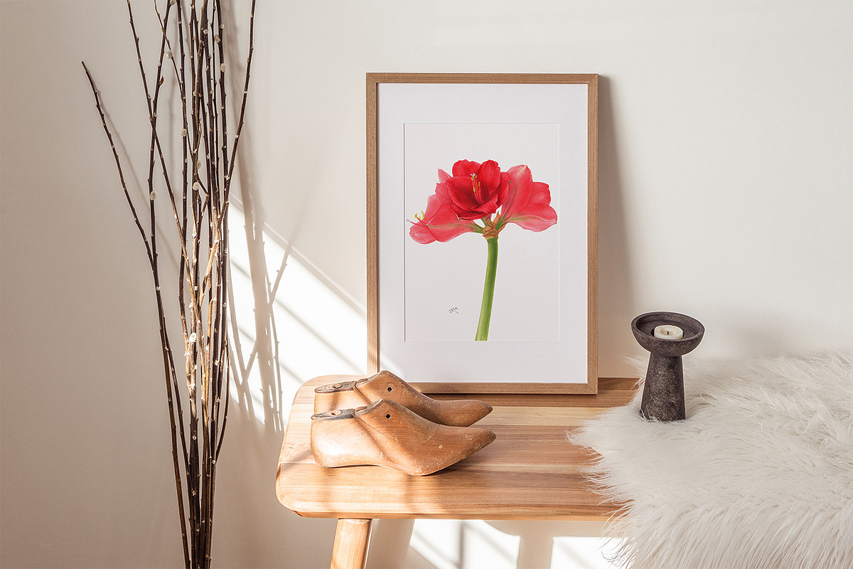 Botanical art - amarillis flowers, an Object Graphic by ViktoriArt (Photo 14 of 14)