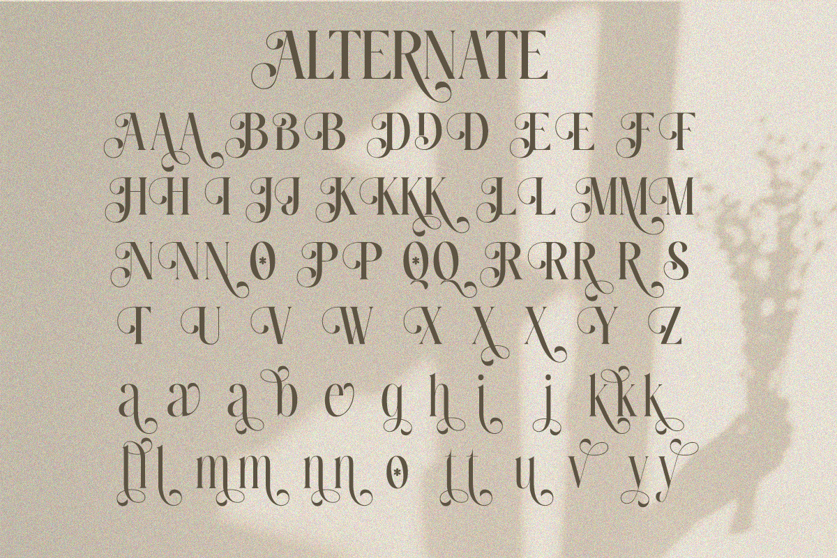 Novera Balessa - Modern Elegant, a Serif Font by Qweera Studio (Photo 10 of 12)