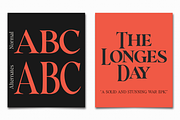 Cita Pro Serif Family, a Serif Font by xdCreative (Thumbnail 7 of 10)