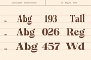 Callgest Display Font - 3 Styles, a Serif Font by Martype Co (Thumbnail 3 of 14)