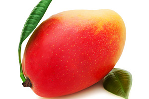 Fresh mango fruit with green leaves