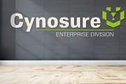 Cynosure, a Sans Serif Font by Device (Thumbnail 2 of 8)