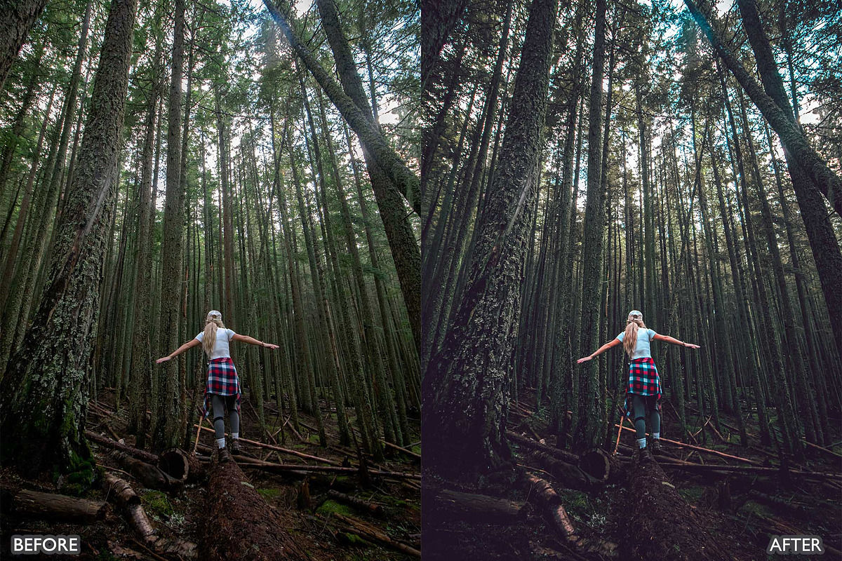 Dark and Moody Lightroom Presets, a Preset Add-On by AAA Presets (Photo 13 of 17)