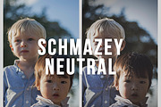 Schmazey Neutral Photoshop Action preview 3