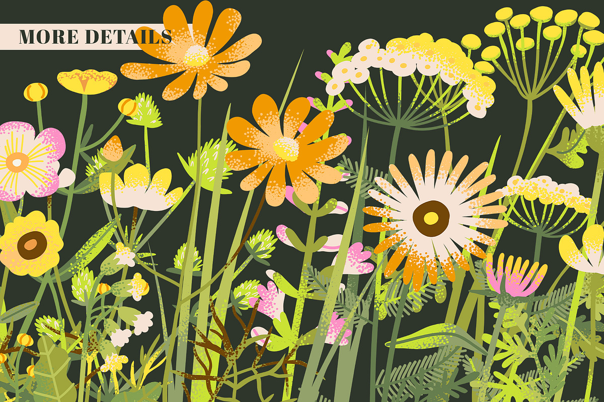 MEADOW FLOWERS: clipart & borders, a Seasonal Illustration by Elliko shop (Photo 8 of 8)