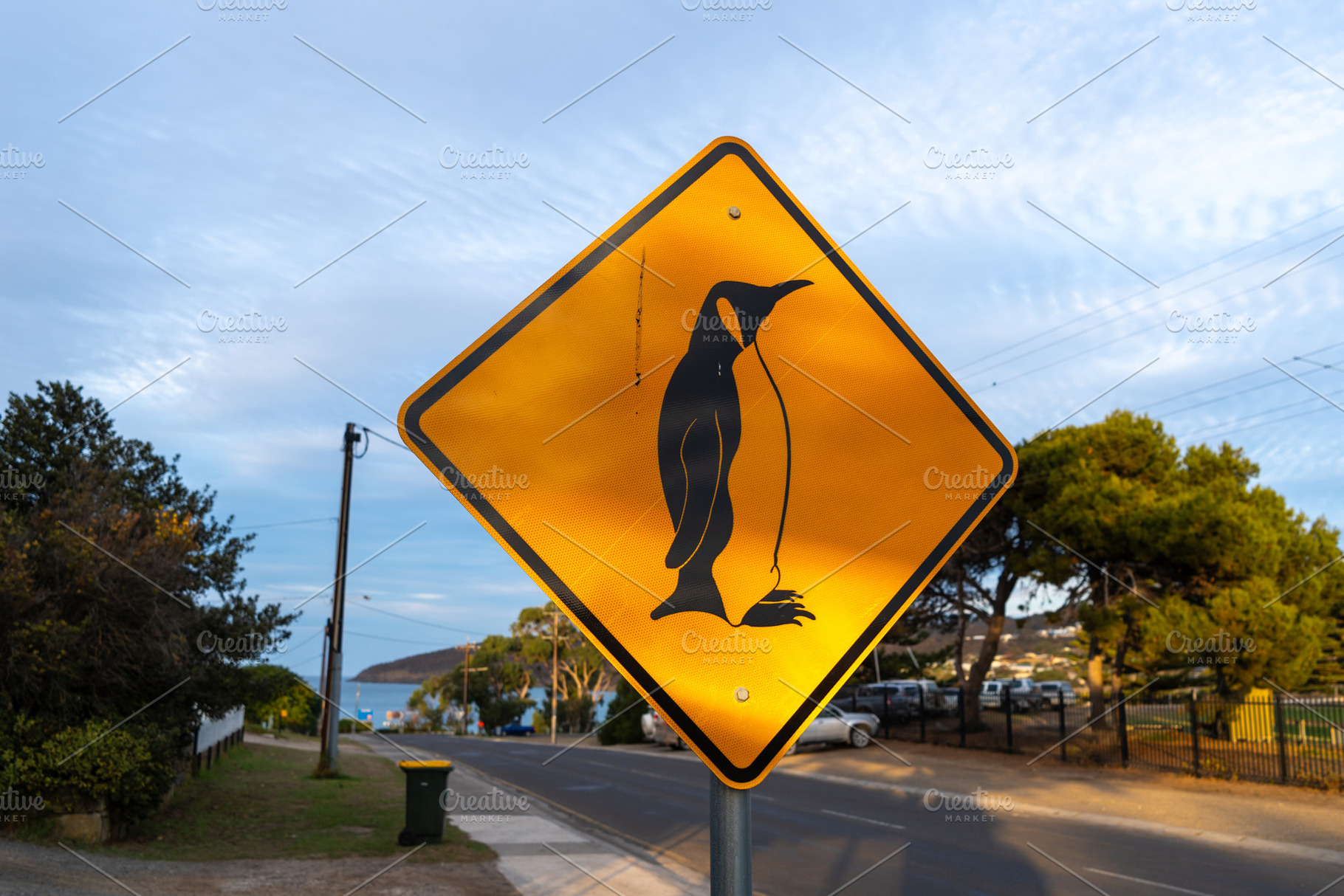 Penguin crossing warning sign on a coastal road, Kangaroo Island, an Animal Photo by GoodGoods