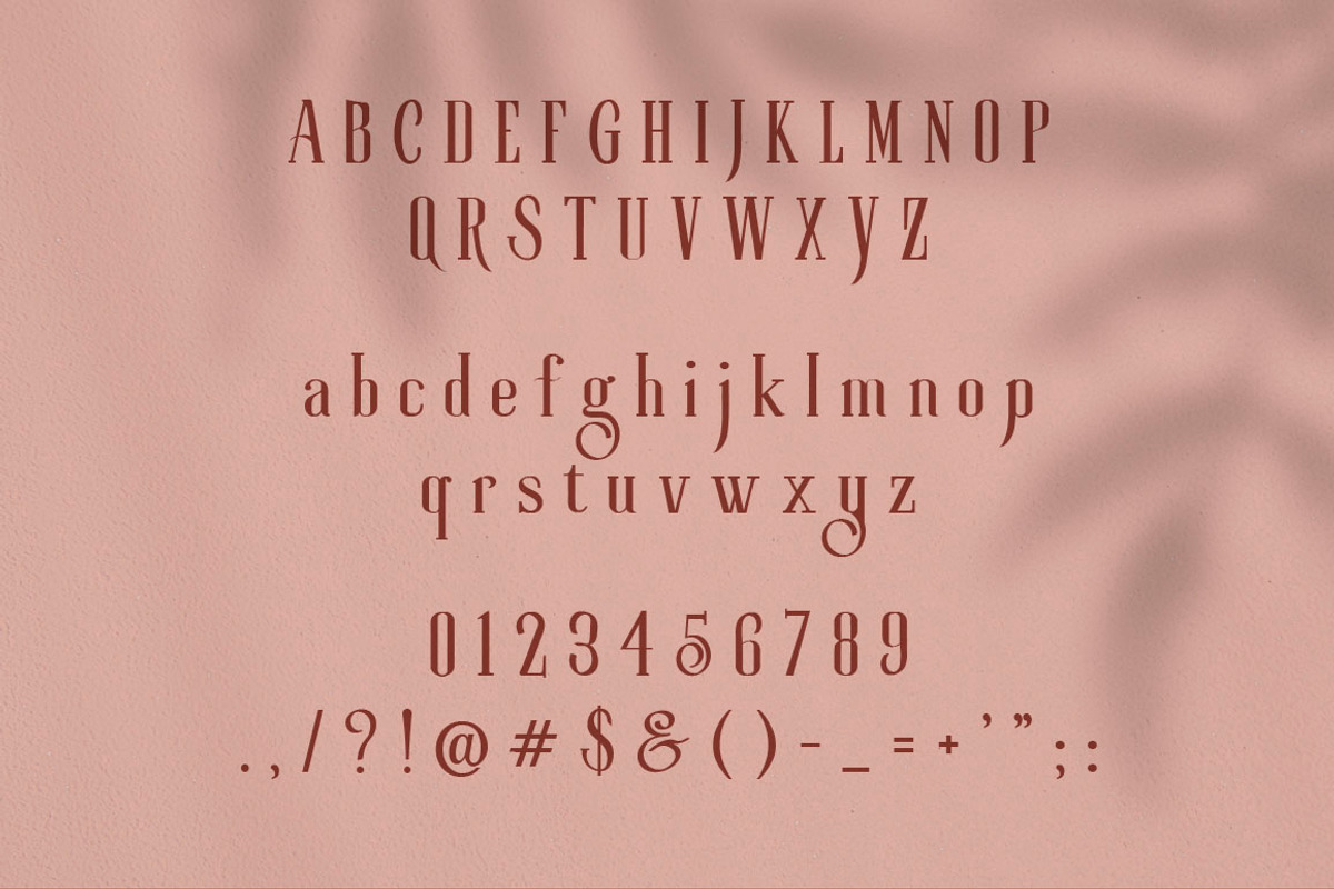 Roller Coaster Serif (Bonus), a Serif Font by Anxiety Studio (Photo 18 of 19)