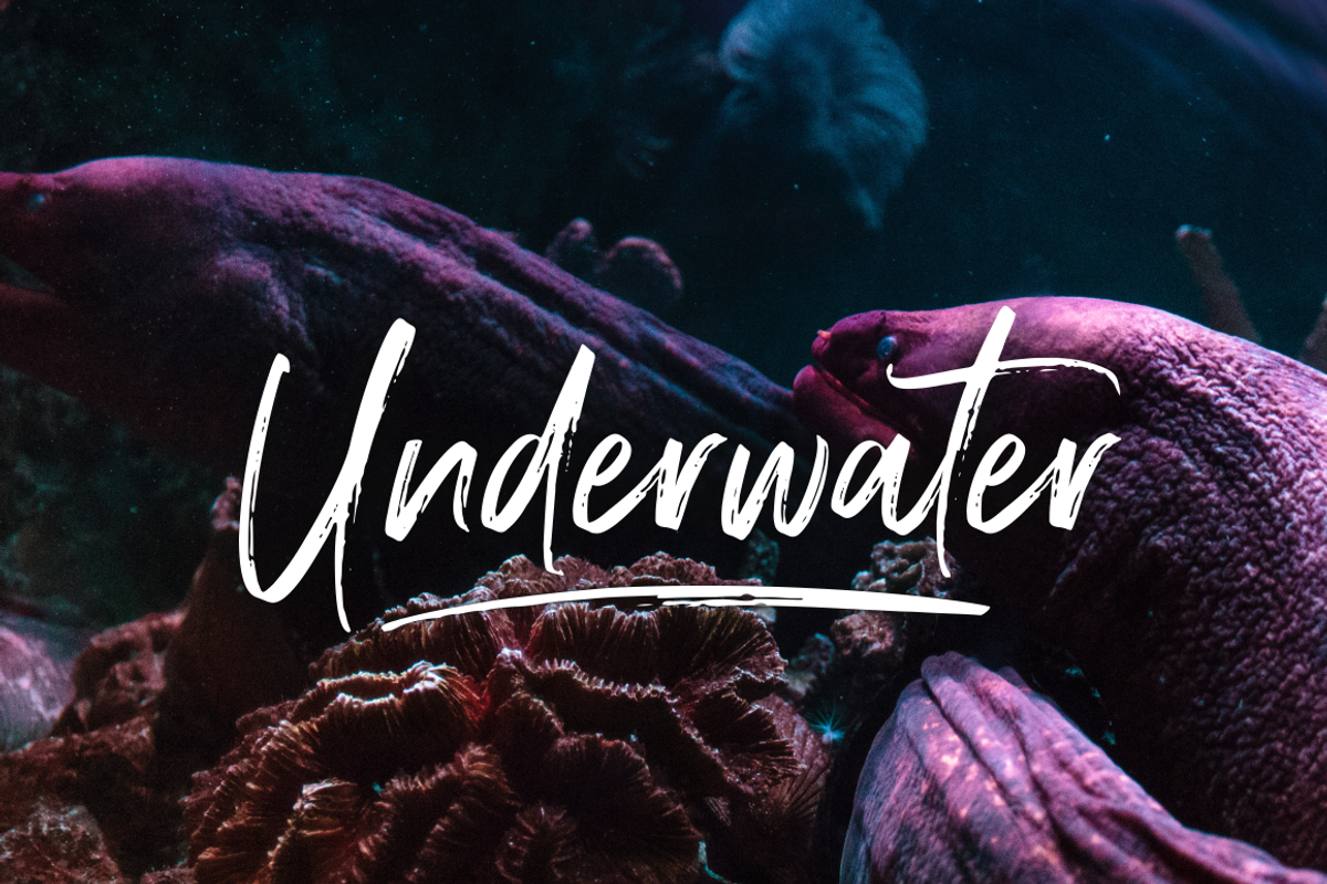 Displatter - Handbrush Font preview 5