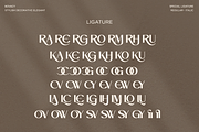 Bovacy - Modern Elegant Serif, a Serif Font by Say Studio (Thumbnail 15 of 15)