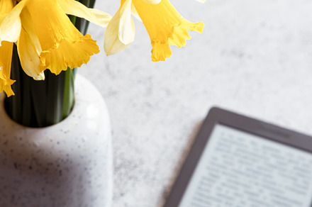 Modern ebook reader,  daffodils flowers on background. Top view,, a Beauty & Fashion Photo by Ivanna