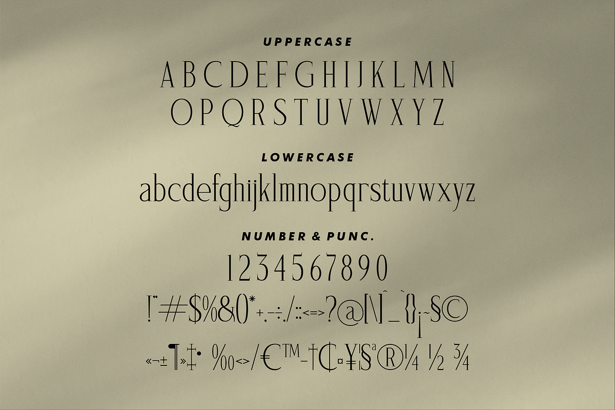 Saegathe Modern Serif Font, a Serif Font by Storytype Studio (Photo 13 of 15)