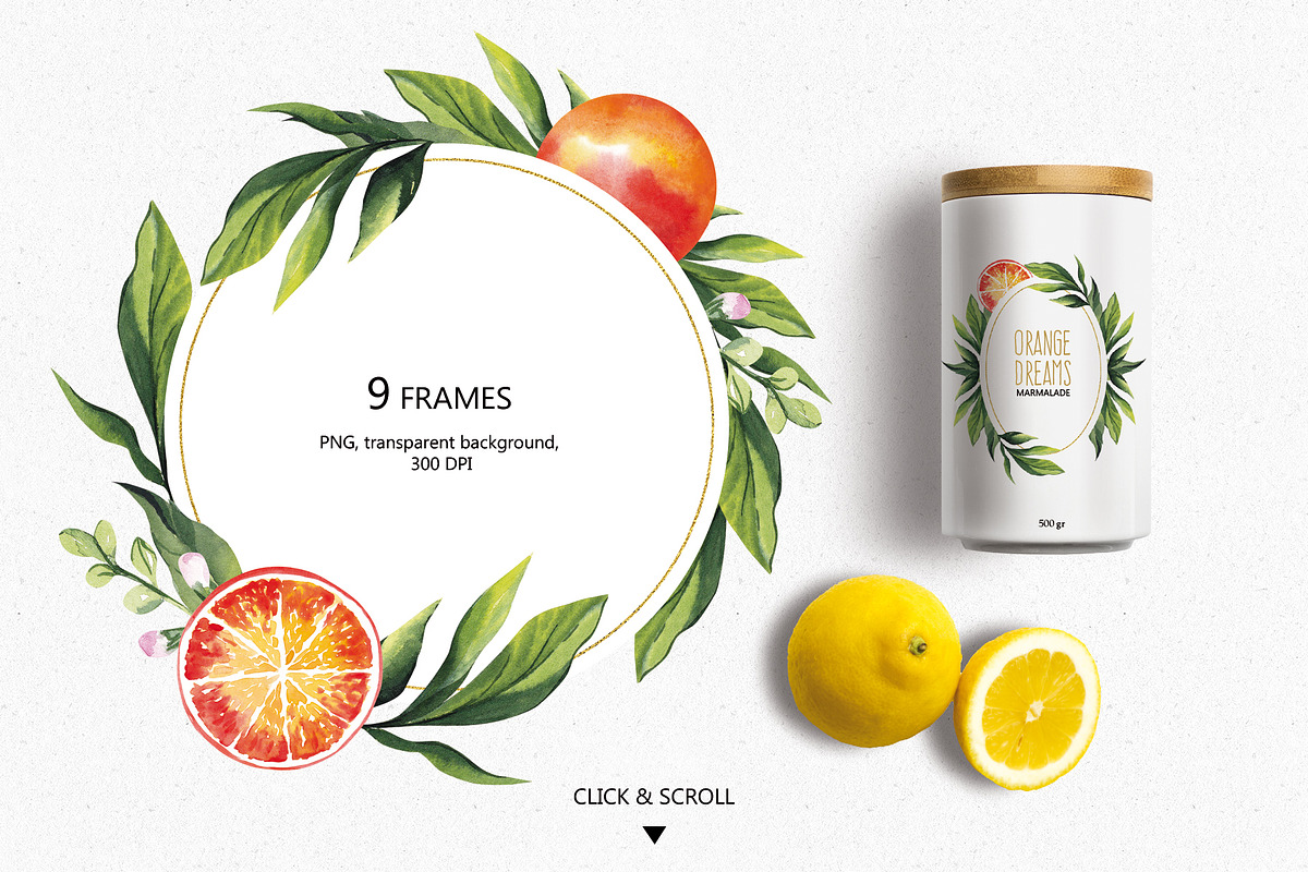 CITRUS FRUITS, an Illustration by Elena_Sedova (Photo 3 of 8)