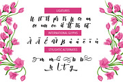 New Aprillia Script, a Script Font by Olexstudio (Thumbnail 6 of 6)
