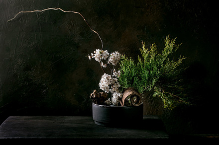 Spring ikebana with white flowers, a Nature Photo by Natasha Breen