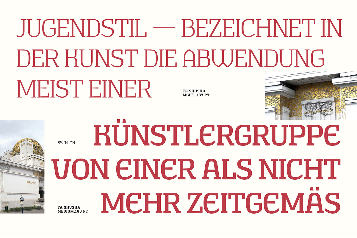 TA Shusha, a Slab Serif Font by TAFT Foundry (Photo 10 of 13)