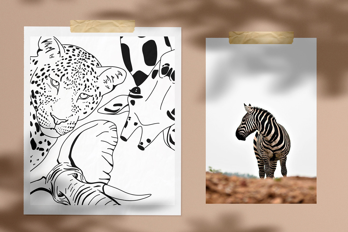 African animals. Line art collection, an Object Graphic by Vera●Suleimanova (Photo 14 of 16)