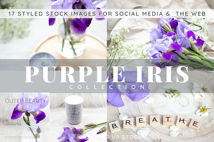 Purple Iris Styled Stock Collection, a Photo by Chalking Up Stock