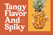 Bailey Retora Groovy Retro Serif, a Serif Font by timelesstype.co (Thumbnail 8 of 20)