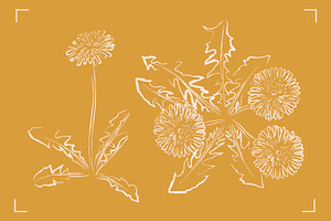 DANDELION LINE ART SET 7 ELEMENTS