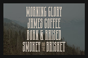 Ruffian Rose, a Slab Serif Font by Chad Palmer Designs (Thumbnail 6 of 7)