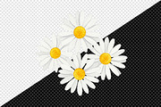 Daisy Flower Watercolor Clipart, an Illustration by Creative Art (Thumbnail 6 of 7)