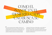 Retro Voice – Variable Serif Font, a Serif Font by Blessed Print (Thumbnail 20 of 29)