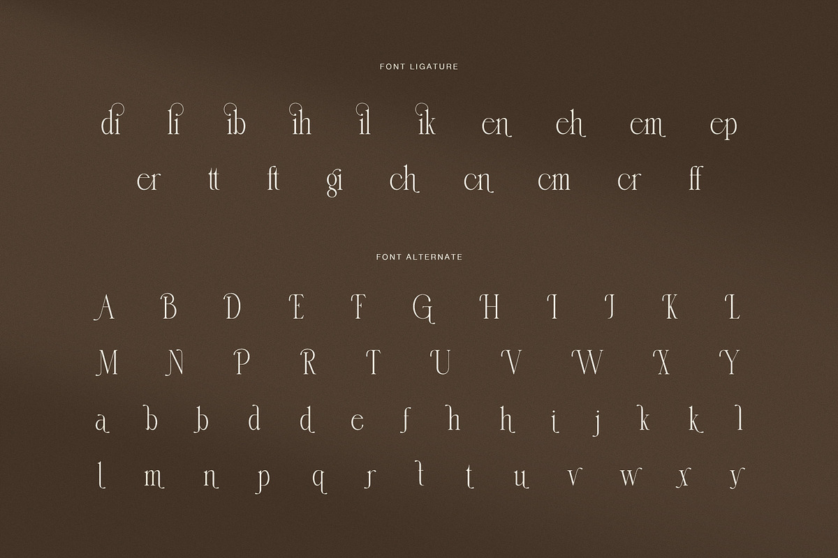 Nadien Elegant Serif Font, a Serif Font by Graphicxell (Photo 8 of 8)