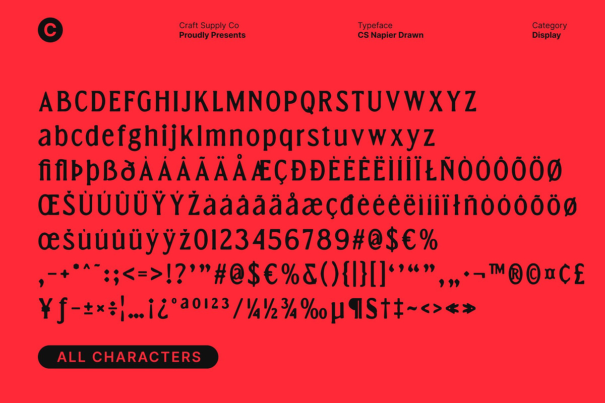 CS Napier Drawn, a Serif Font by Craft Supply Co. (Photo 8 of 8)