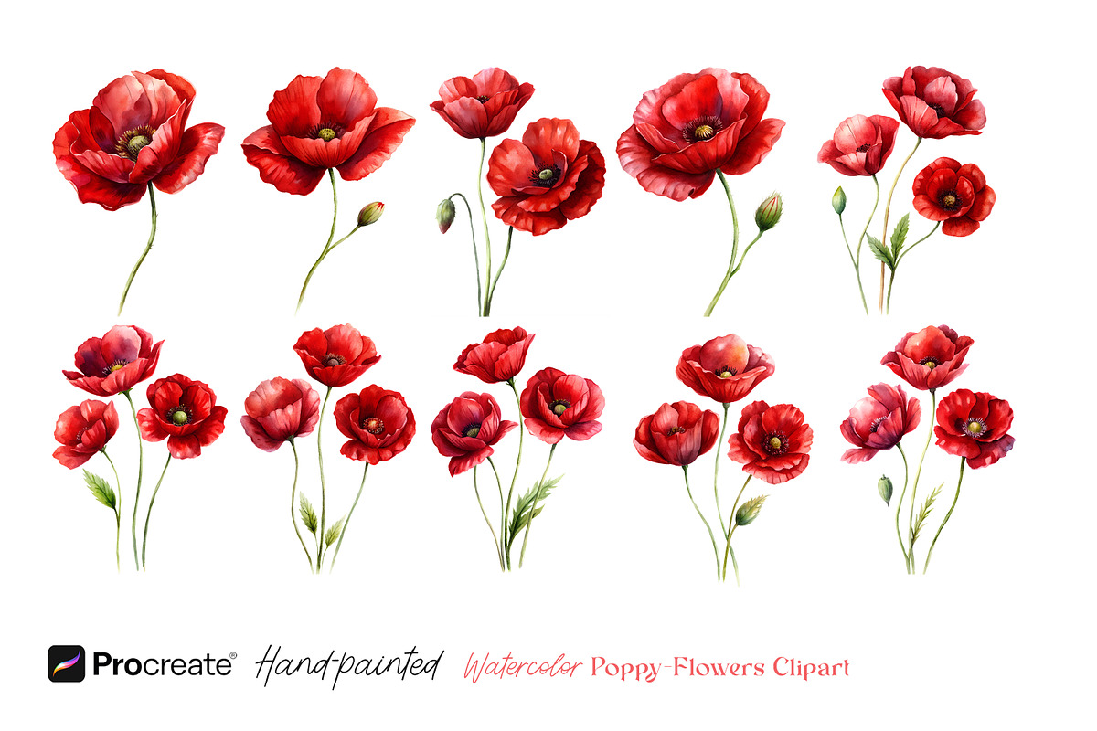 Watercolor Poppy Flowers Clipart, a Decorative Illustration by crafty (Photo 8 of 8)