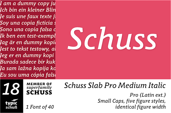 SchussSlabProMedIta No.18 (1 Font) preview 6