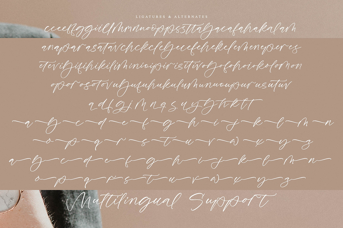 Daylight Beauty, a Handwritten Font by operatype.co (Photo 14 of 15)