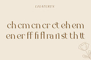 Fluxerist, a Serif Font by Rishsketch (Thumbnail 11 of 13)
