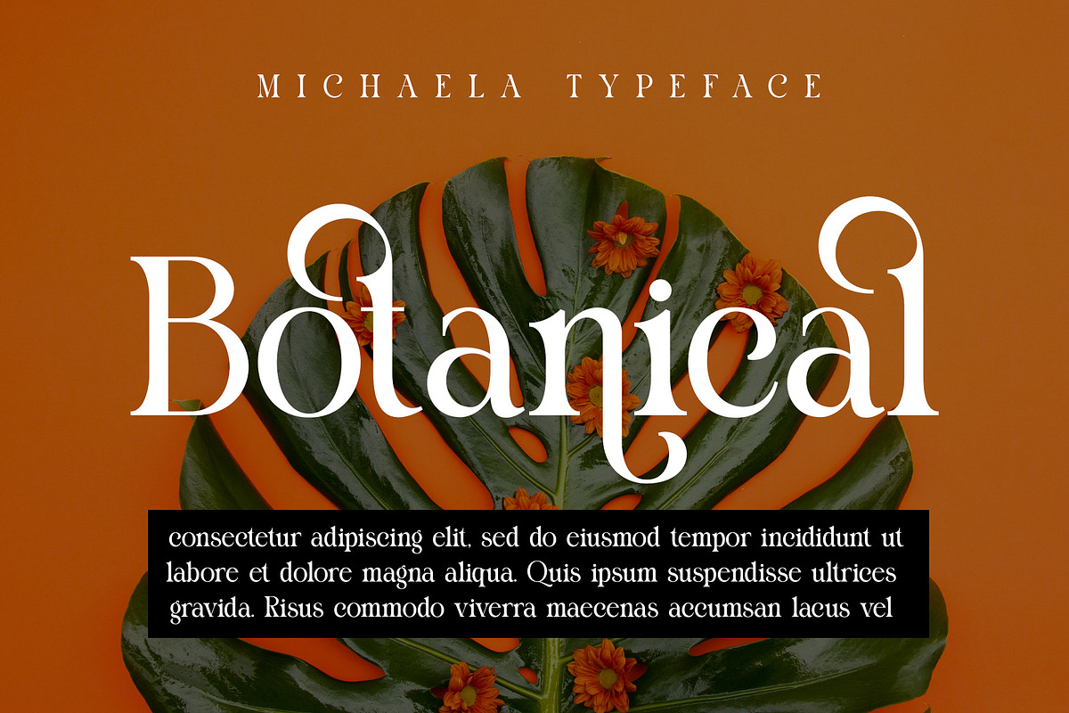 Michale Modern Serif Typeface, a Serif Font by Alfinart (Photo 5 of 10)