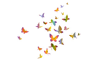 Colorful Flying Butterflies.