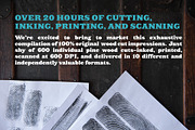 Pine Woodcuts, a Texture Graphic by Brian Brubaker (Thumbnail 2 of 5)