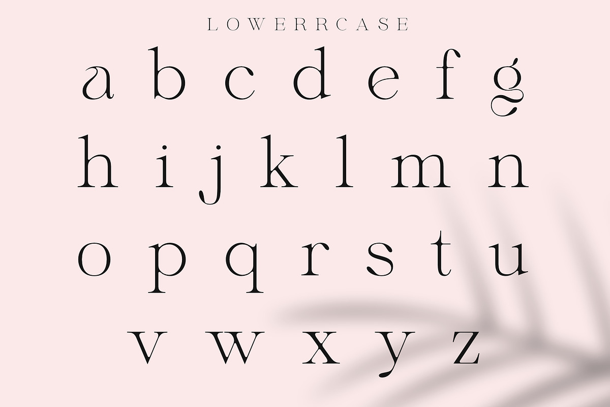 Megans | Elegant Stylish Serif, a Serif Font by Sealoung (Photo 13 of 16)