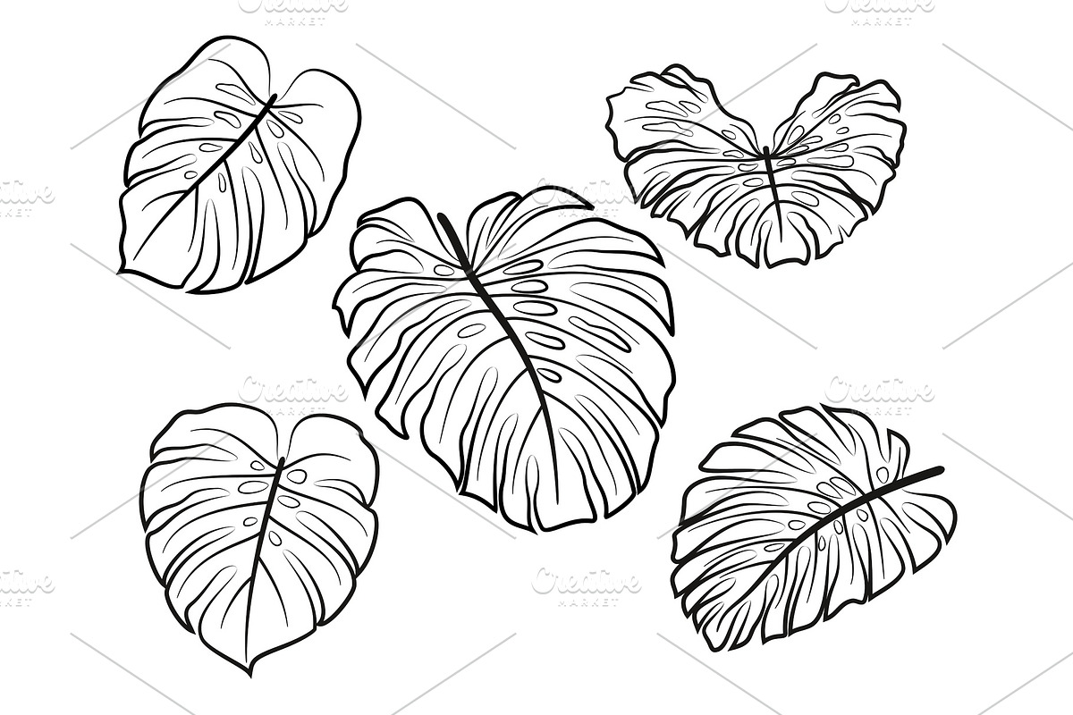 Monstera Leaves Pictograms, an Object Graphic by Ok-sana