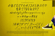 Hostrange, a Script Font by Ditatype (Thumbnail 9 of 10)