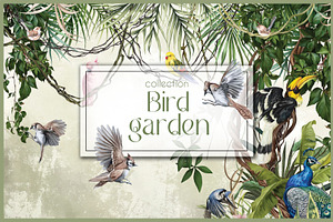 Bird Garden